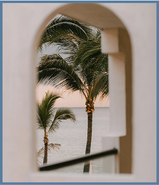 Palm tree and ocean view through a window in Port St. Lucie