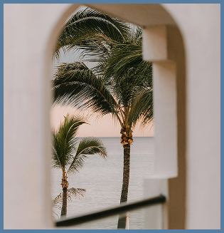 Palm tree and ocean view through a window in Port St. Lucie